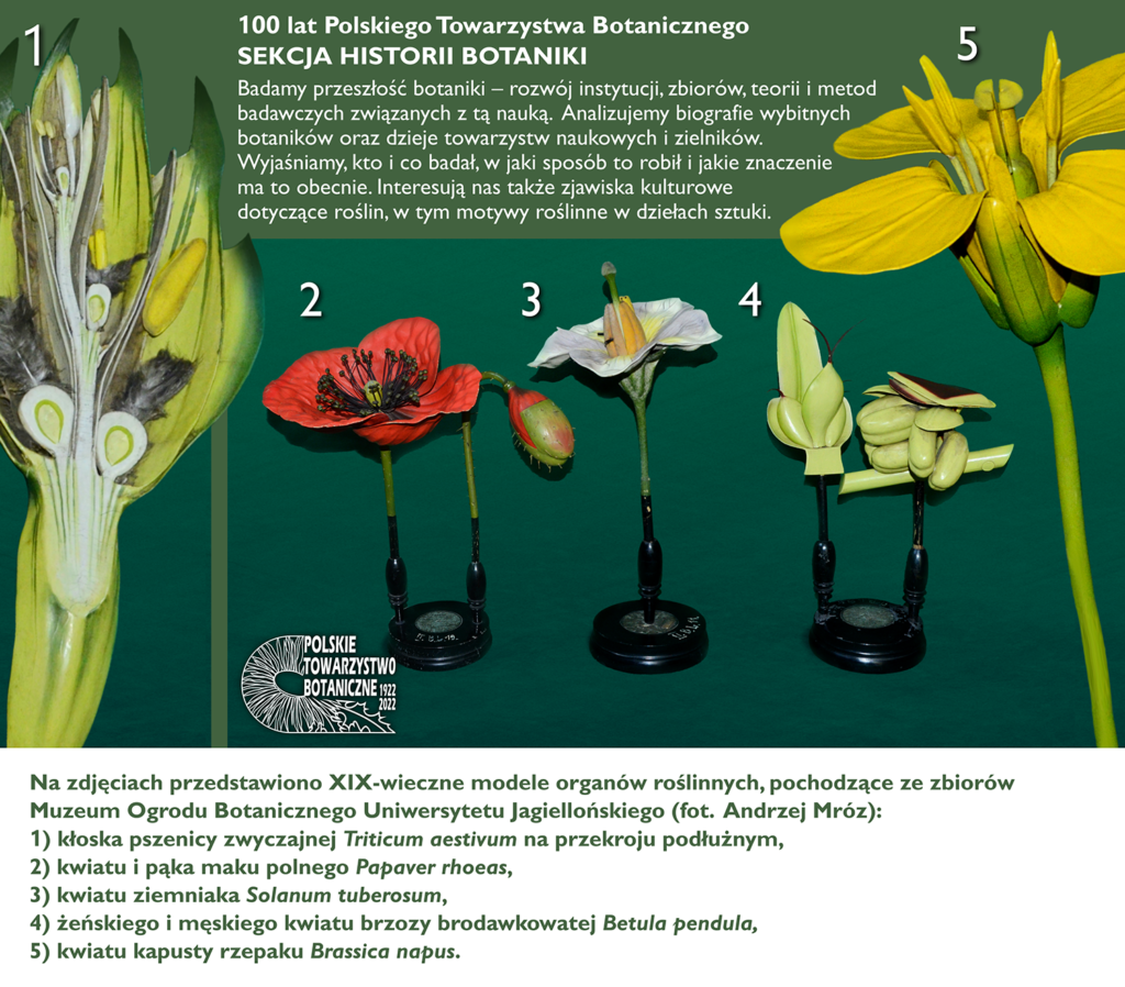 Profil działalności Sekcji Historii Botaniki – tablica powstała z okazji Jubileuszu Stulecia PTB